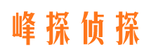 龙山侦探公司